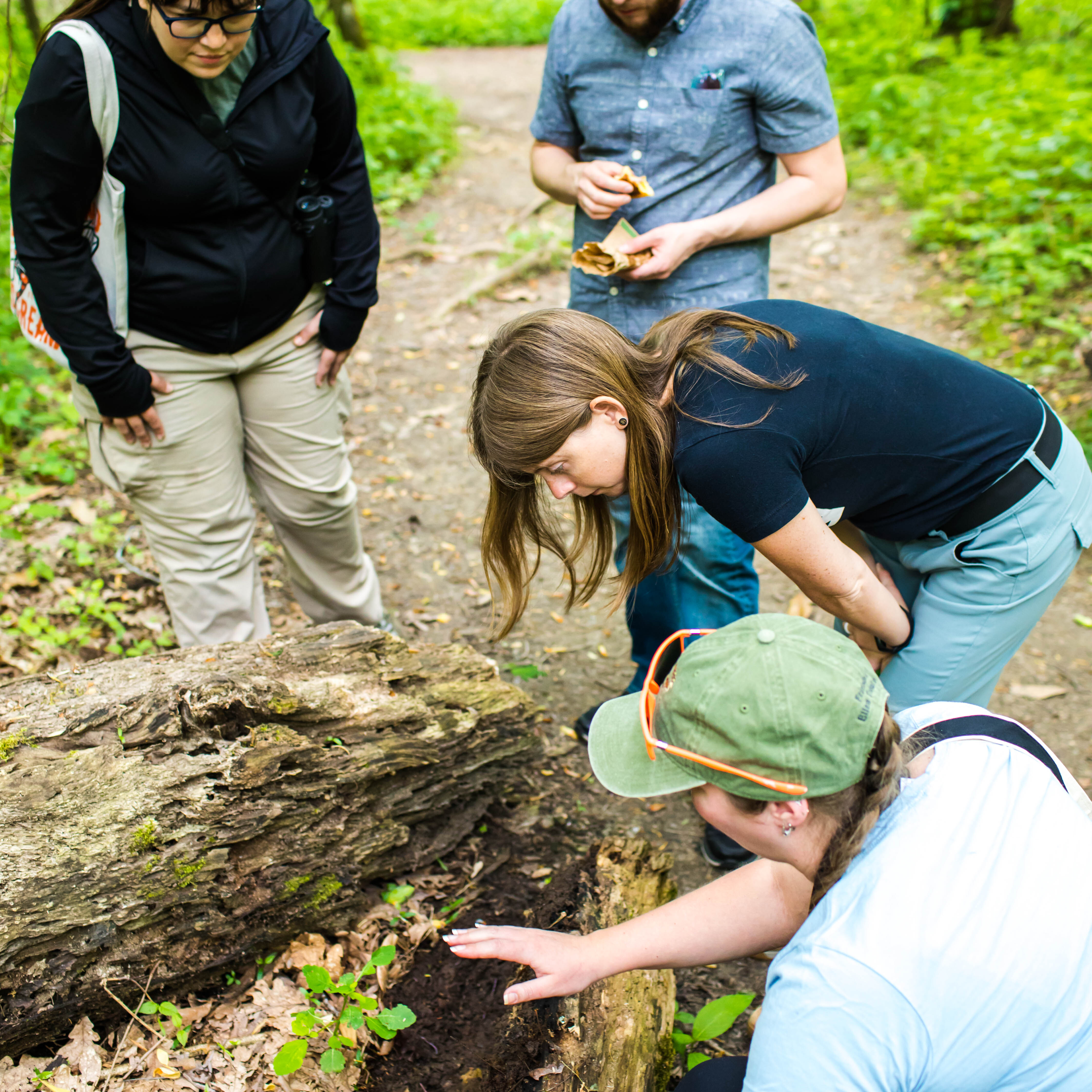 Guided Nature Walk: Wet Wood Wonders - logo